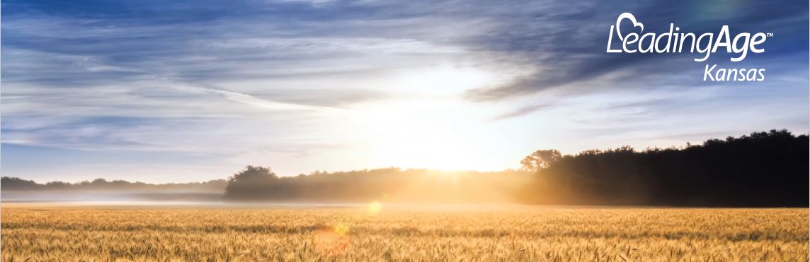 2022 Image sunset landscape wheatfield